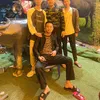 laphi265