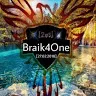 braik4one