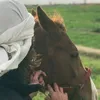 mansur_kurdi1