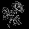m.ddle_ch.ldd