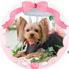 cocochan_mama