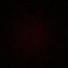 colinmcsorley33
