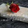345kishmish