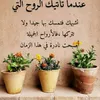 user804924518