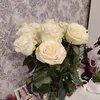 pollina_123_