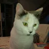 claudieribeiro