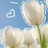thanhhh_20060008