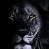 motivation_sid.e