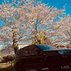japanesegod