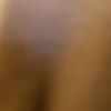 adamf2509