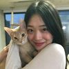 lyz_k11