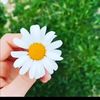 user275175985
