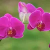 huongn19259311760