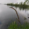 prosto_chelovechoshka