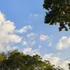 cjlifediary2