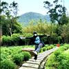 novia_nuryanto