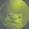 catgoesmeongg