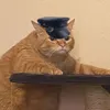 o_fish_o
