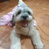 _la_liramanoban