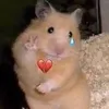 aleks_dm__