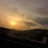 randome_news0