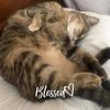 eileenviera629