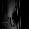 violin648
