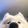 nicharee_505