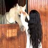 ashwaq.77_