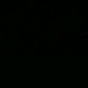 rodri_torricoo