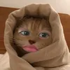 z_phyr4
