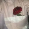 majid17717