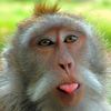 cici..khanza
