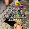 andrebaung