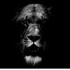 _.mamedov_197