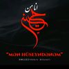 huseynashiqi313