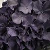 blackmb05