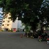 apoh_1