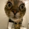 lenny_02122