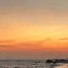 myid_191