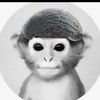 avyonadams