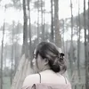 pyrffsaaa