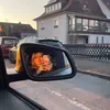julia_8552