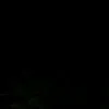 zuzia_530