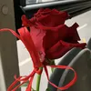 aleramto