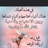 user40191918411614