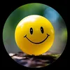 wayidkh_23