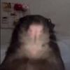 sal.pdf