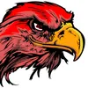 junior94eagle