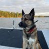 mackroxky